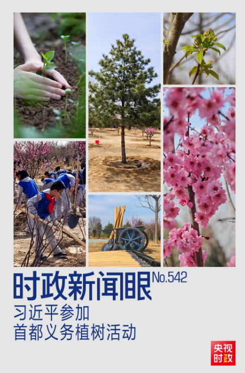 参加首都义务植树活动，习近平为何强调这三个关键词？
